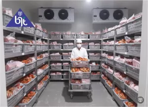 Cold Storage Freezer untuk Simpan Udang Beku Inovasi BJT